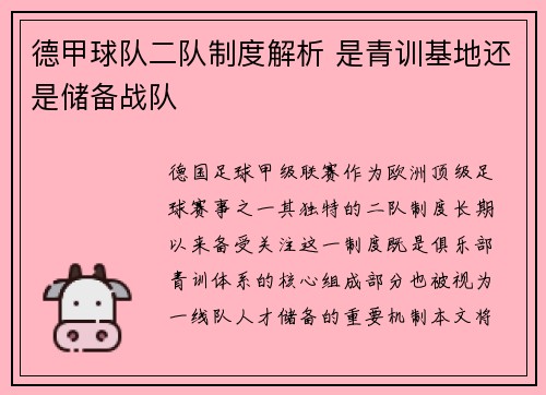 德甲球队二队制度解析 是青训基地还是储备战队